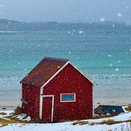 Villa Nordic House Lofoten